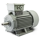 MEZ Electric Motor / Electromotor 1